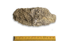 F 00823
<br/>
<br/>
<em></em>